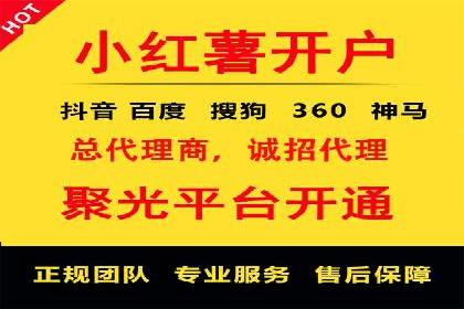 竞价排名案例：优化广告预算分配